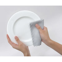 東和産業 Ag+抗菌マイクロキレイクロス2P 4901983108904 1個（直送品）