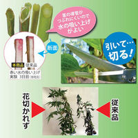 兼松工業 花切かれず鋏 ステンレスピンク 034814 1本