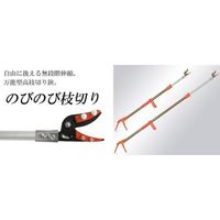 ニシガキ工業 のびのび枝切り3.3m N-129 1個