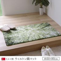 イケヒコ ガイア 玄関マット 700×1200mm グリーン 1311050016401 1枚（直送品）