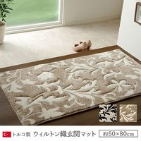 イケヒコ・コーポレーション ネム 玄関マット BE 50×80cm 1311320000000 1枚
