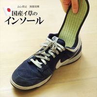イケヒコ・コーポレーション い草インソール NV 31cm 1120290190422 1セット（直送品）