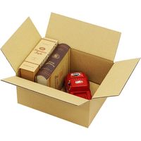 ロジマート 60サイズ ダンボール【NO198】K5 BF 51z198-160 1セット(1袋(20枚)×3)