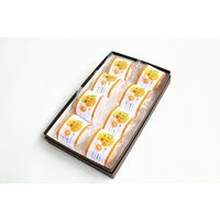新杵堂 まるごとみかん大福　882782 1セット（直送品）