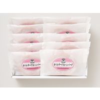 伊賀上野直売所　さくらポーク生ハンバーグ　HB10-SP 331148 1セット サンショク（直送品）