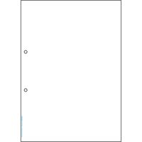 ヒサゴ マルチプリンタ帳票 抗菌紙 A4 白紙 2穴 BPK2001 1袋(50枚入)