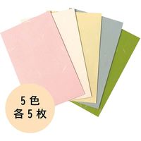 サクラ・シノコウ 伊予和紙ポチ袋 月華 5色アソート 25枚 横65×縦103mm SPG-AS-25P 1袋