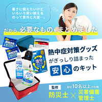 熱中症対策キット (レッド) クーラーバッグに入った応急処置セット(水分補給/塩分/経口補水液/保冷/保存水/防災/非常用)（直送品）