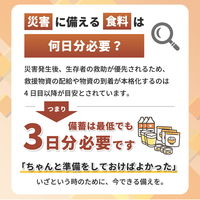 【非常食】ピースアップ 4人用/3日分(36食)非常食セット 10001680 1セット