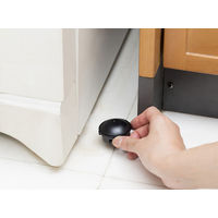 ゴキブリ 駆除剤 置き型 ブラックキャップ 1セット（2個） ゴキブリ対策 退治 毒餌剤 駆除エサ剤 殺虫剤 アース製薬