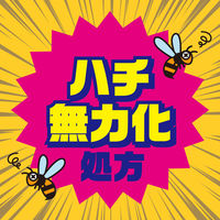 蜂 カメムシ駆除 スプレー ハチの巣を作らせない ハチアブ スーパージェット 455ml 1セット（2個） 殺虫剤 駆除剤 対策 ベランダ アース製薬