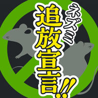 ネズミのみはり番 追い出しジェット 420ml アース製薬