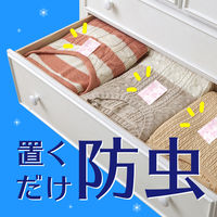 消臭ピレパラアース スヌーピー 1年間防虫 引き出し・衣装ケース用 1セット（2個）アース製薬