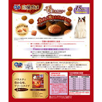 銀のスプーン 三ツ星グルメ 腎臓の健康維持用 15歳が近づく頃から 国産 240g（20g×12袋）3個 キャットフード ドライ