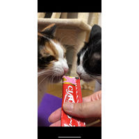 いなば CIAO チャオ ちゅーる 猫 11歳以上 まぐろ・かつお 国産（14g×4本）30袋 ちゅ～る キャットフード 猫用 おやつ