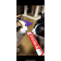 いなば CIAO チャオ ちゅーる 猫 まぐろ 国産（14g×4本）6袋 ちゅ～る キャットフード 猫用 おやつ