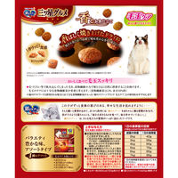 銀のスプーン 三ツ星グルメ 毛玉ケア お魚レシピ 国産 240g（20g×12袋）3個 キャットフード ドライ