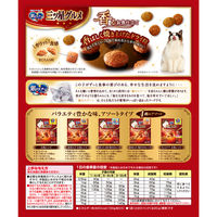 銀のスプーン 三ツ星グルメ お魚レシピ 国産 240g（20g×12袋）14個 キャットフード ドライ