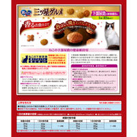 銀のスプーン 三ツ星グルメ 下部尿路の健康維持用 1歳～10歳頃まで お魚レシピ 国産 240g（20g×12袋）キャットフード ドライ