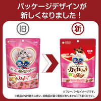 銀のスプーン おいしい顔が見られるおやつ カリカリッチ シーフード＆チキン 国産 60g 3袋 キャットフード 猫用