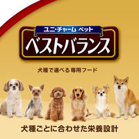 ベストバランス ミニチュアダックスフンド用 鶏ささみ・緑黄色野菜・キャベツ入り 60g 12袋 国産 ドッグフード ウェット パウチ