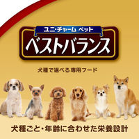 ベストバランス チワワ用 鶏ささみ・緑黄色野菜・キャベツ入り 60g 72袋 ユニ・チャーム