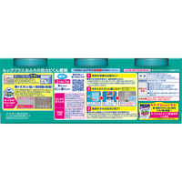 ルック おふろの防カビくん煙剤 消臭ミントの香り 1セット（3個入） ライオン  風呂 浴室 燻煙