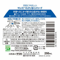 ヤシノミ洗剤 キッチン泡ハンドソープ 本体 250ml 1個 サラヤ