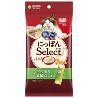 銀のスプーン おやつ とろリッチたい入り 国産 48g（6g×8本入）2袋 キャットフード ウェット おやつ