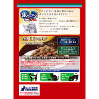 銀のスプーン 贅沢うまみ仕立て 吐き戻し軽減 お魚お肉野菜 国産 1.3kg（小分けパック4袋入）3袋 キャットフード ドライ