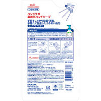 ハンドラボ　薬用泡ハンドソープ　詰替250mL　1セット（2個）サラヤ
