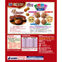 銀のスプーン 三ツ星グルメ 15歳頃から 4種の味わいアソート 国産 200g（20g×10袋）14個 キャットフード