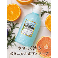 モイスト・ダイアン ボディソープ ボタニカル リフレッシュモイスト ポンプ 500ml