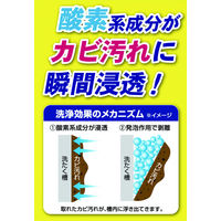 洗たく槽カビトルデス 180g 1個 UYEKI（ウエキ）
