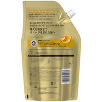 パンテーン エクストラダメージケア トリートメントコンディショナー 詰め替え 特大 860g P＆G