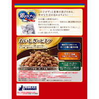 銀のスプーン 贅沢うまみ仕立て 15歳頃から 国産 1.3kg（小分けパック4袋入）3袋 キャットフード