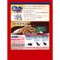 銀のスプーン 贅沢うまみ仕立て 下部尿路の健康維持用 国産 1.3kg（小分けパック4袋入） キャットフード ドライ