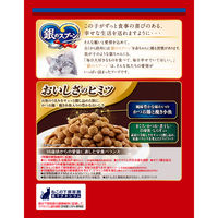 銀のスプーン 贅沢うまみ仕立て 20歳を過ぎてもすこやかに 国産 1.3kg（小分けパック4袋入）3袋 キャットフード ドライ