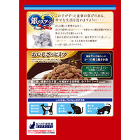 銀のスプーン 贅沢うまみ仕立て 吐き戻し軽減フード 国産 1.3kg（小分けパック4袋入）3袋 キャットフード ドライ
