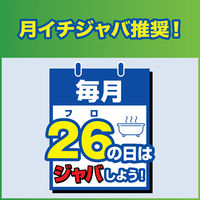 スクラビングバブル 風呂釜洗浄剤 ジャバ 2つ穴用 120g 1個 お風呂掃除 ジョンソン