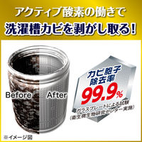 カビキラー 洗濯槽クリーナー 洗濯槽カビキラー 酸素系粉末タイプ 250g 1個 洗濯機 除菌 ジョンソン