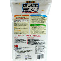 セスキ炭酸ソーダ 大 1kg