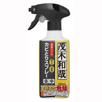 茂木和哉 カビ とり ジェル スプレー 掃除 320ml レック (C00404)