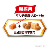 ベストバランス ドッグフード ふっくら仕立て 13歳以上 ミニチュアダックスフンド 1.7kg（284g×6袋入）国産 3袋 ユニ・チャーム