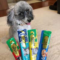 （バラエティパック）いなば ちゅーる 犬 とりささみバラエティ 国産（14g×40本）1袋 ちゅ～る ドッグフード 犬 ウェット おやつ