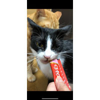 いなば CIAO チャオ ちゅーる 猫 サーモン＆とりささみ 国産（14g×4本）6袋 ちゅ～る キャットフード 猫用 おやつ