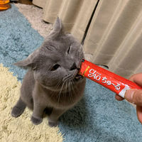いなば CIAO チャオ ちゅーる 猫 サーモン＆とりささみ 国産（14g×4本）10袋 ちゅ～る キャットフード 猫用 おやつ