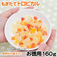 小動物用 もぎたてトロピカル お徳用 160g 1袋 マルカン