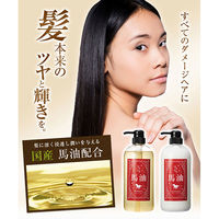 ツヤツヤ馬油 コンディショナー ポンプ 700ml 国産馬油使用 ティ・エス・プランニング