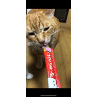 いなば CIAO チャオ ちゅーる 猫 腎臓の健康維持に配慮 まぐろ 国産（14g×4本）6袋 ちゅ～る キャットフード ウェット 猫用 おやつ